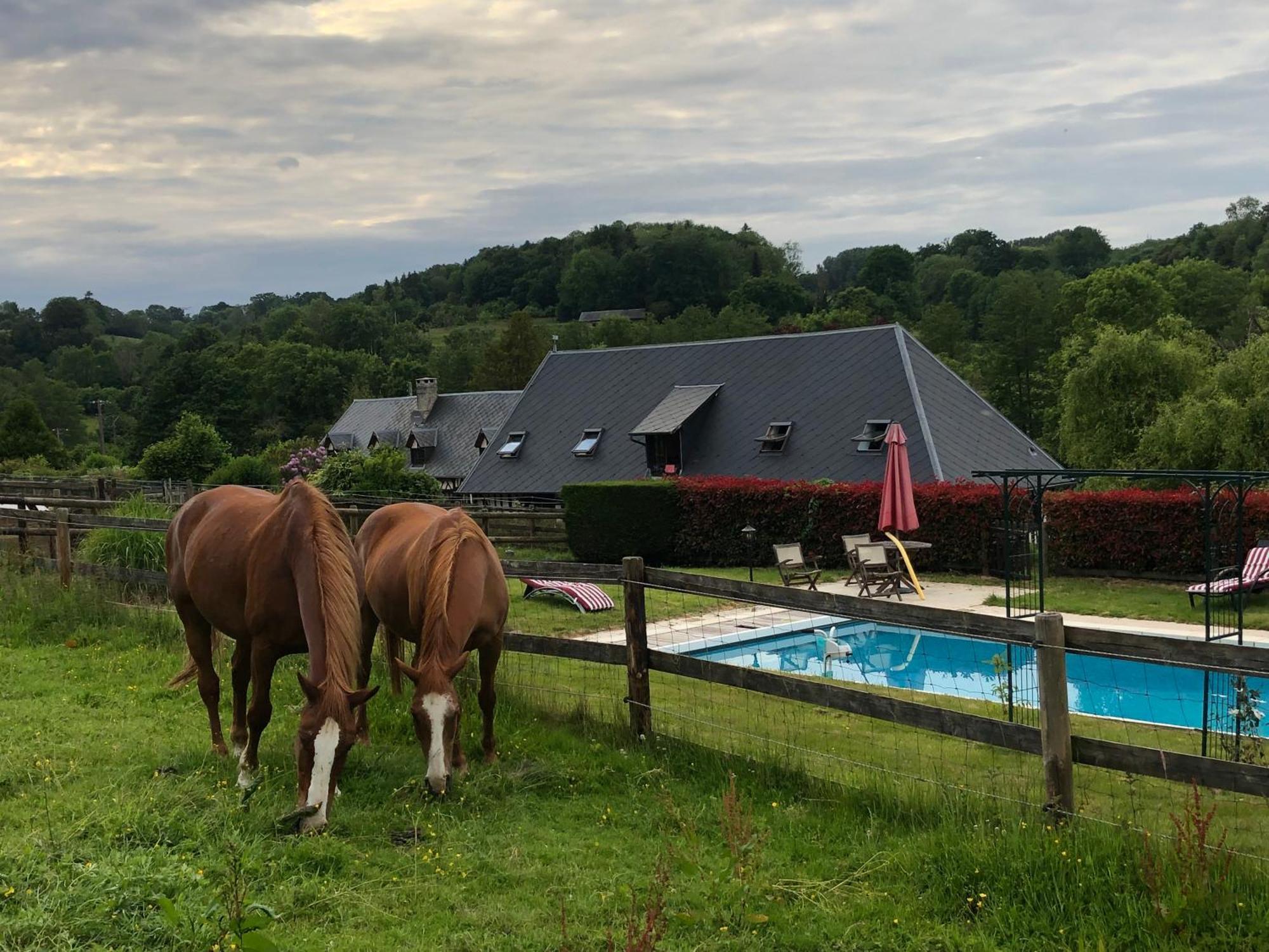 Le Champ Des Possibles Bed and Breakfast Manerbe Exterior foto